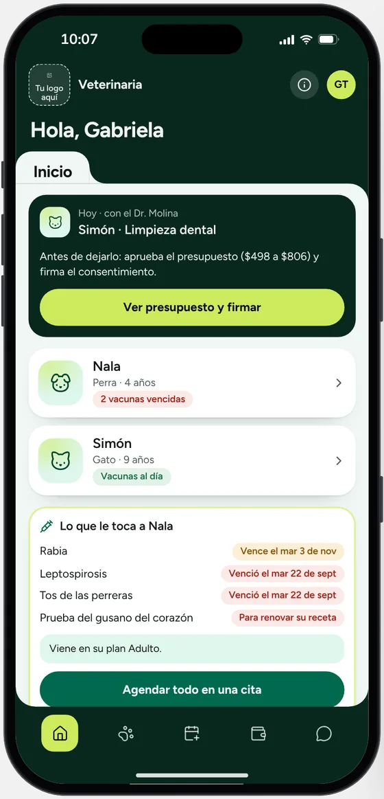 La app del dueño en la demo de Veterinaria